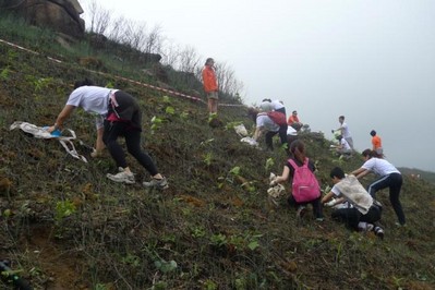 今年逾700人報(bào)名參加，為一幅去年被山火燒去大范圍林木的山坡種植約6,000棵樹(shù)苗。